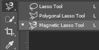 Select The Lasso Tool