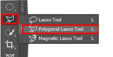 polygonal lasso tool definition