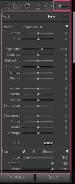 Adjustment Brush Option