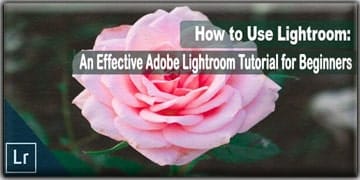 How to Use Lightroom An Effective Adobe Lightroom Tutorial