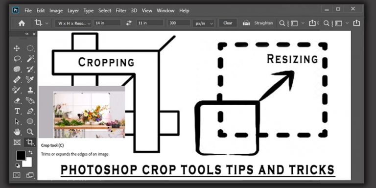 Photoshop Crop Tool for Image Cropping and Resizing