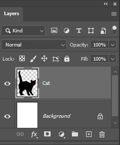 Selecting the layer