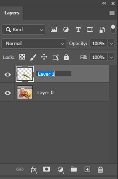 rename layer to a new name