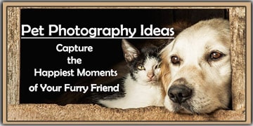 Pet Photography Tips 2023