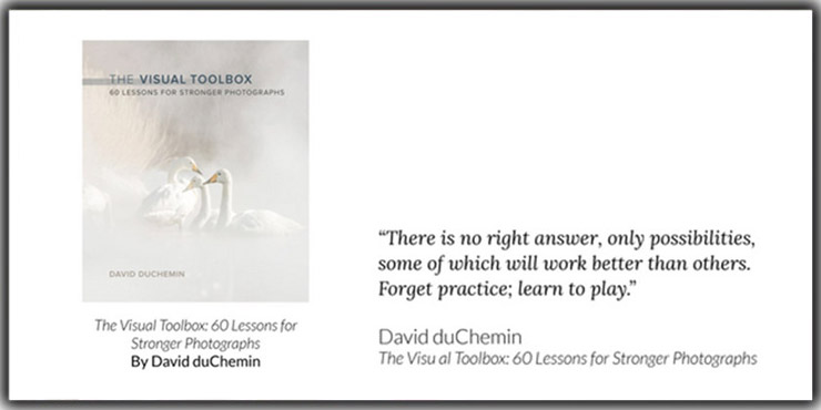 The Visual Toolbox 60 Lessons for Stronger Photographs by David duChemin