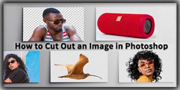How to Cut Out an Image in Photoshop (07 Best Methods)