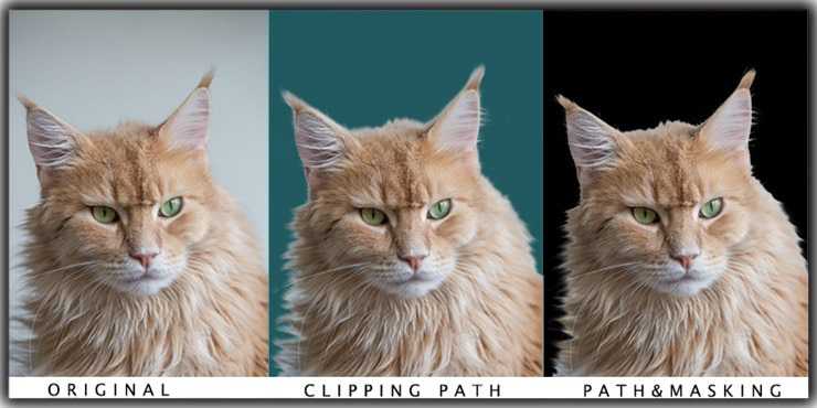 Clipping Paths and Masking