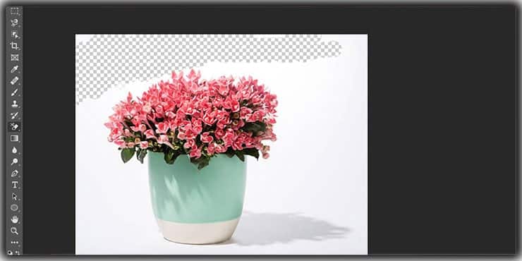 Remove Background with Eraser Tool