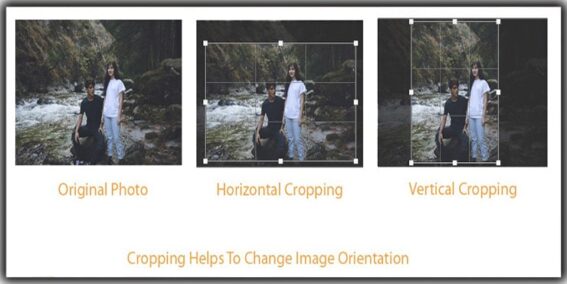 Cropping In Photography - A Beginner's Guide