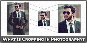 Cropping In Photography - A Beginner's Guide