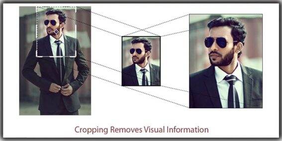 Cropping In Photography - A Beginner's Guide