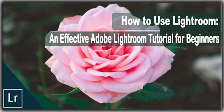 How to Use Lightroom