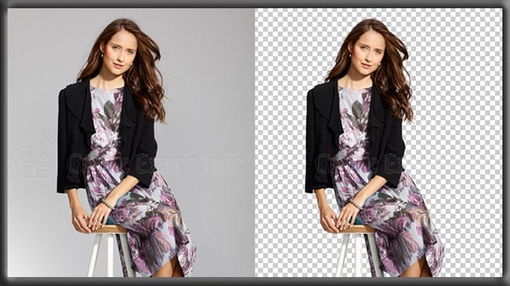 Remove the Background using  photo Masking