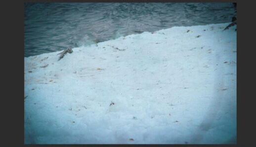 How to Use Adobe Photoshop Generative Fill