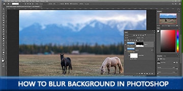 How to Blur Background